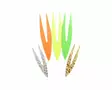 Pacchiarinis Double Tails M - Other Fly Tying Products - 40850006546 - 1