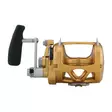 Penn International 50VISW Gold - Saltwater Spinning Reels - 031324167056 - 3