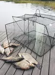 RAMPO Katiska - Fish Traps - 6418252939506 - 3