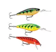 Rapala Essentials Trout Cloudy 2.0 - Lure Assortments - 022677384146 - 2