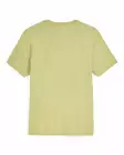 Simms Trout Outline T-Shirt Tent Green - Men T-Shirts - 694264694466 - 2