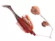 Strike Pro Pig Chopper XL 32g - Spinnerbaits and chatterbaits - 2602202346 - 1