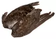 Veniard Grouse Wings - Skins, Wings and Heads - 5056304601615 - 1