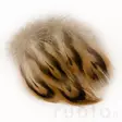 Hen Mallard Breast Feathers - Classic Feathers - 5056304602544 - 2