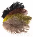 Ostrich Mini Plumes - Other Feathers and Plumes - 40450300056 - 1