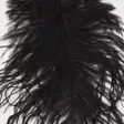 Ostrich Mini Plumes - Other Feathers and Plumes - 40450300056 - 6