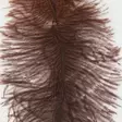 Ostrich Mini Plumes - Other Feathers and Plumes - 40450300056 - 5