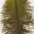 Ostrich Mini Plumes - Other Feathers and Plumes - 40450300056 - 4