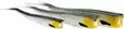 Westin TwinTeez V-Tail 24cm - Soft Baits for Vertical Fishing - 1734056 - 8