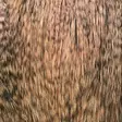 Spey Cape Pro Grade - Other Capes and Saddles - 40350200006 - 11