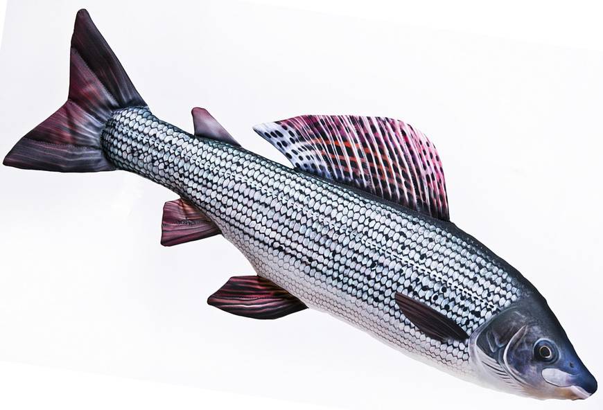 Gaby Grayling 65cm - Soft Fishes - 5905279175426 - 1