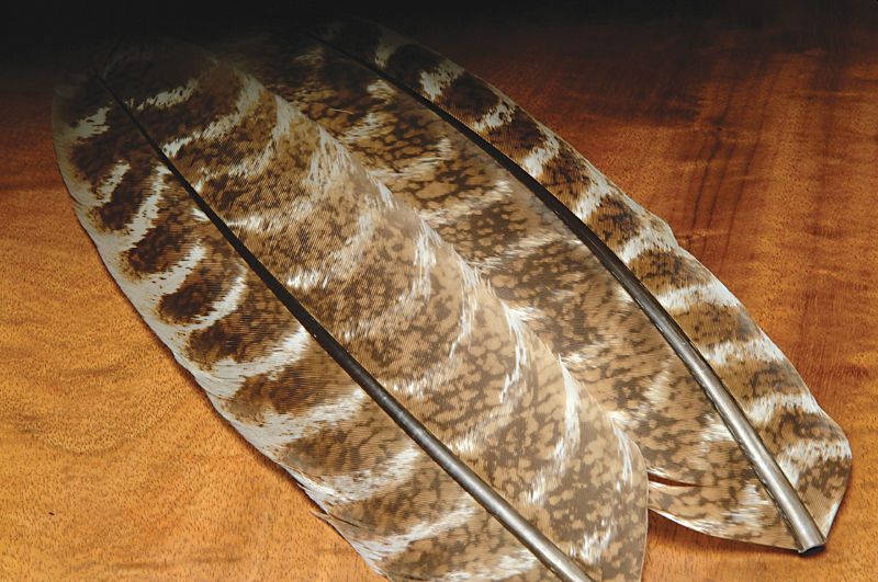 Hareline Ozark Turkey Wing Quills Oak Mottled - Classic Feathers - 762820009846 - 3