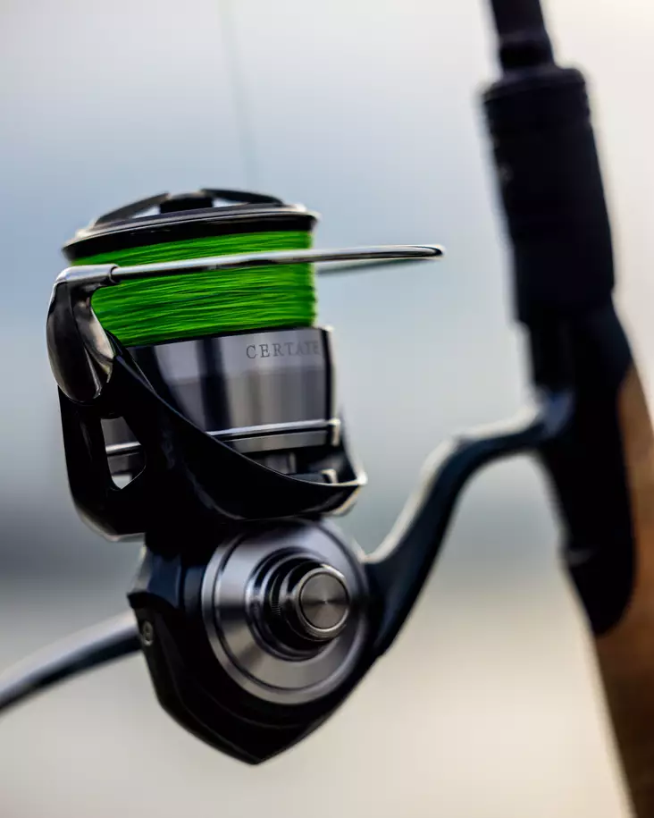 Daiwa 24 Certate G - Ruoto.com webstore