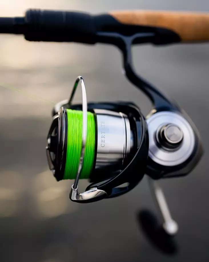 Moulinet Mer Spinning Daiwa Certate G LT 2019 ARK - Leurre de la pêche