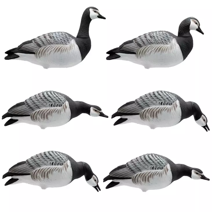 Final Approach Full Body Valkoposkihanhi 6pcs - Decoys - 728614284486 - 2
