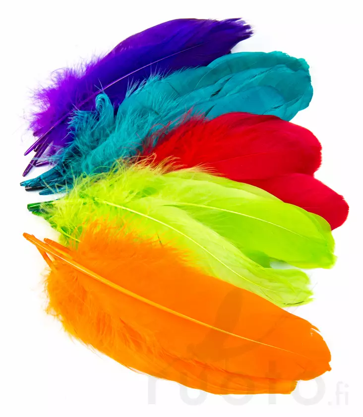 Hanhen hartiasulka 6kpl - Classic Feathers - 4045030096 - 1