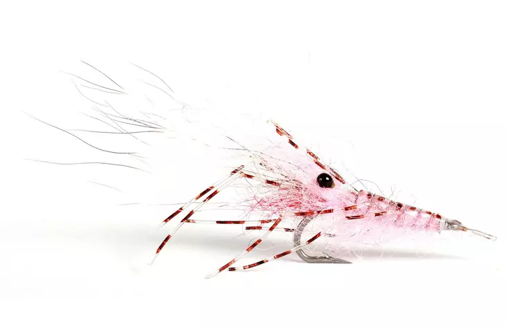 Leoshrimp Pink - Shrimps - 7033840130326 - 1