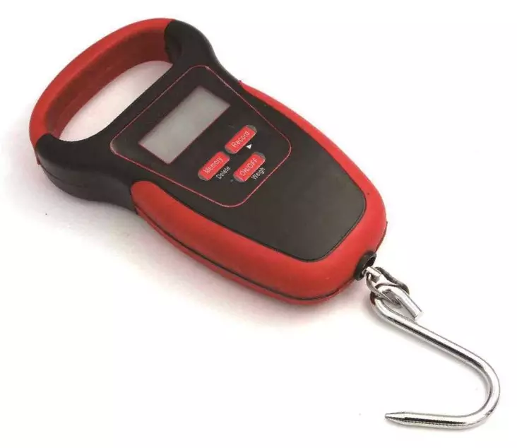 Saxa Floating Fish Scale 50 kg - Other Tools and Accessories - 6438407012236 - 2