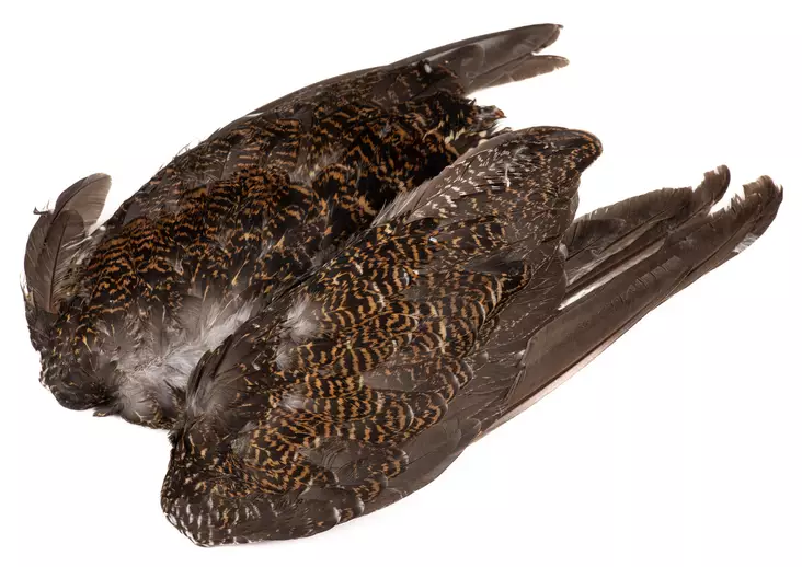 Veniard Grouse Wings - Skins, Wings and Heads - 5056304601615 - 1