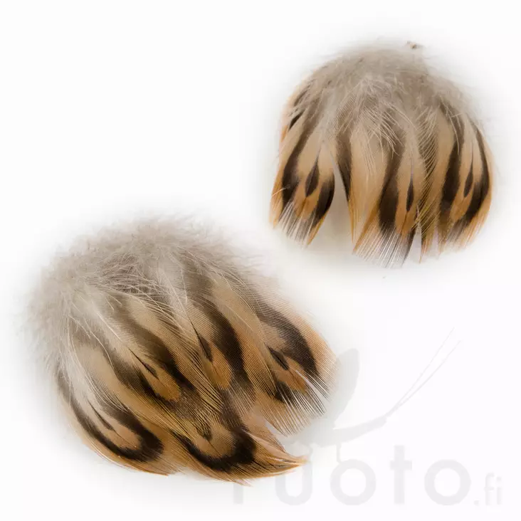 Hen Mallard Breast Feathers - Classic Feathers - 5056304602544 - 1