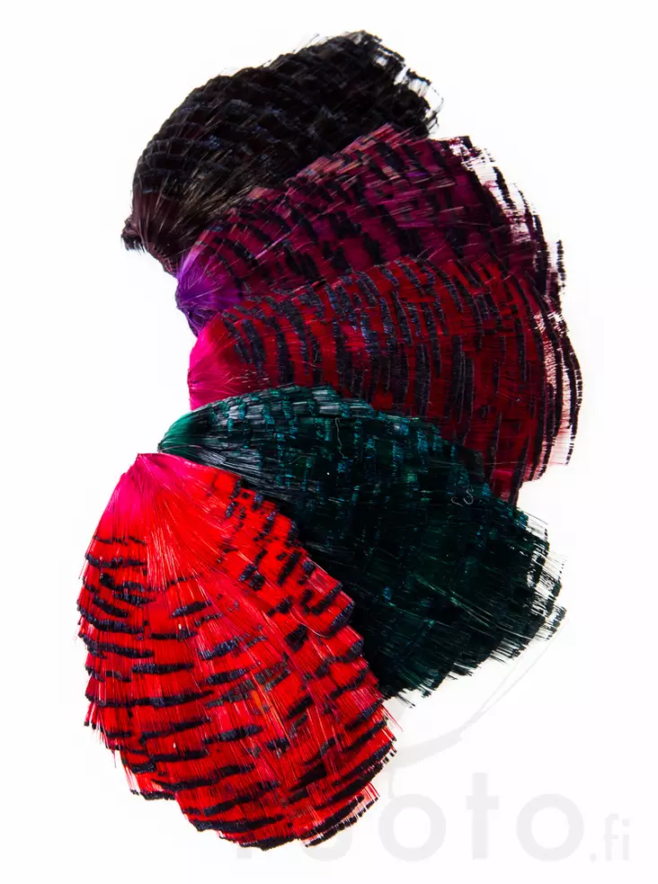 Wapsi Golden Pheasant Tippet - Classic Feathers - 40450200066 - 1