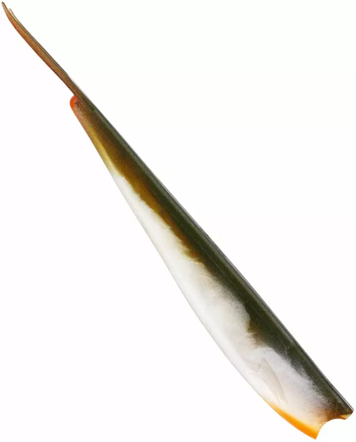Westin TwinTeez V-Tail 24cm - Soft Baits for Vertical Fishing - 1734056 - 1