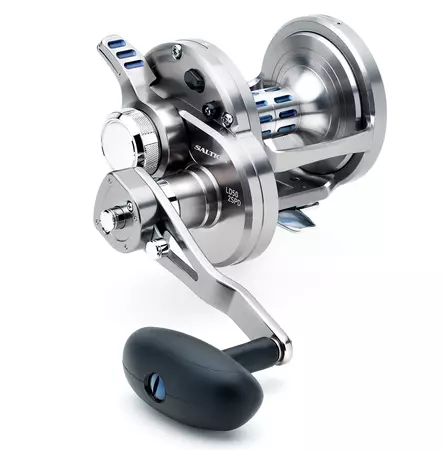 Daiwa 20 Saltiga LD 2 Speed - Sea fishing and trolling reels - 043178592427 - 1