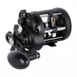 Penn Rival II Level Wind 20 - Saltwater Spinning Reels - 031324016507 - 1