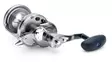 Daiwa 20 Saltiga LD 2 Speed - Sea fishing and trolling reels - 043178592427 - 3