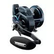 Daiwa 25 Saltist 15J - Sea fishing and trolling reels - 043178800317 - 1