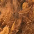 Hareline Soft Hackle - Other Feathers and Plumes - 40450300017 - 17