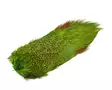 Natures Spirit Ringneck Pheasant Rump Patch - Other Feathers and Plumes - 404503000677 - 7