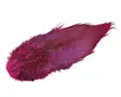 Natures Spirit Ringneck Pheasant Rump Patch - Other Feathers and Plumes - 404503000677 - 9