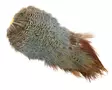 Natures Spirit Ringneck Pheasant Rump Patch - Other Feathers and Plumes - 404503000677 - 3