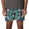 Patagonia Ms Baggies Shorts 5in M KALB - Pants - 198077735717 - 3