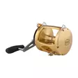 Penn International 80VISW Gold - Saltwater Spinning Reels - 031324167087 - 2