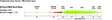 Rio InTouch Mid Head Spey - Spey Lines - 730884211697 - 3