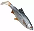 Savage Gear 4D River Roach 18cm 70g - Soft Baits for pike under 100g - 3400300097 - 2