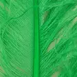 Silvergrey Ostrich Plumes - Other Feathers and Plumes - 40450300037 - 5
