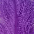 Silvergrey Ostrich Plumes - Other Feathers and Plumes - 40450300037 - 8