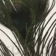 Veniard Peacock Eye Tops - Other Feathers and Plumes - 053526042017 - 6