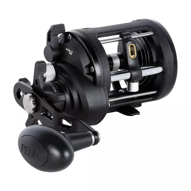 Penn Rival II Level Wind 20 - Saltwater Spinning Reels - 031324016507 - 1