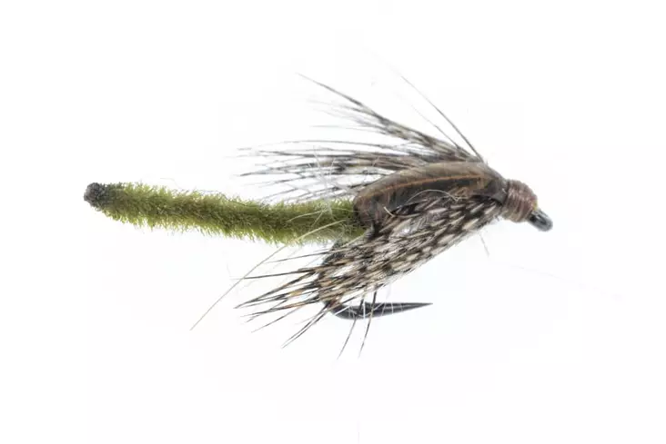 Chenille Pupa Olive - Wet Flies - 06429810537317 - 1