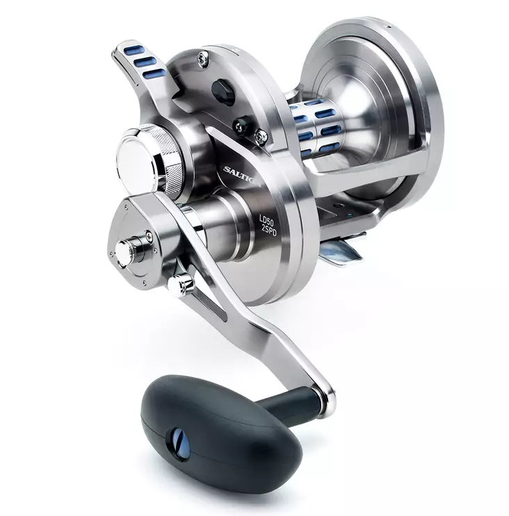 Daiwa 20 Saltiga LD 2 Speed - Sea fishing and trolling reels - 043178592427 - 1