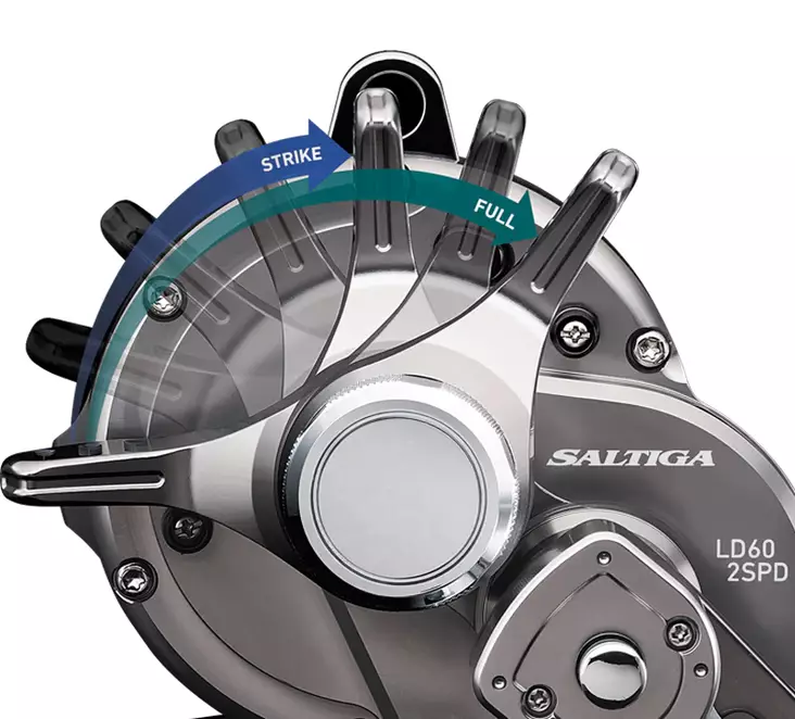 Daiwa 20 Saltiga LD 2 Speed - Ruoto.com webstore