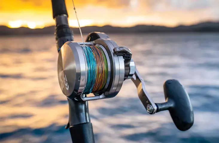 Daiwa 20 Saltiga LD 2 Speed - Ruoto.com webstore