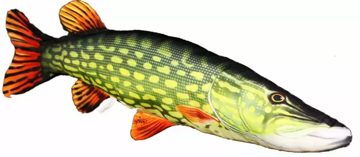 Gaby Hauki Pehmokala - Soft Fishes - 5905279175037 - 1