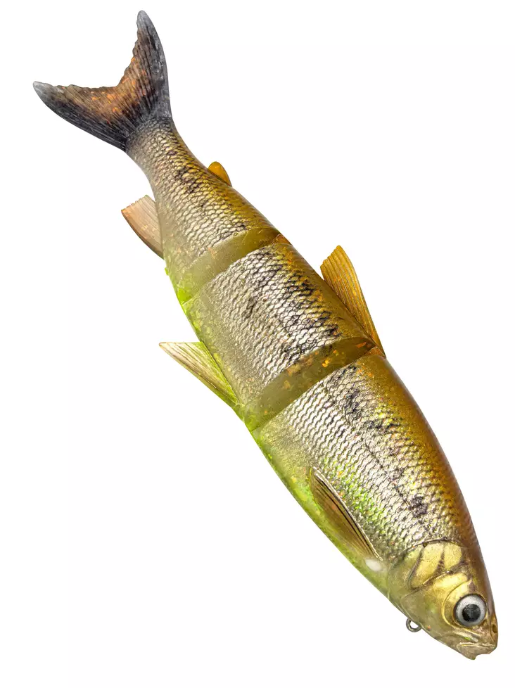 Savage Gear 3D LT Whitefish 36cm/478g Pike catch 36cm, 478g