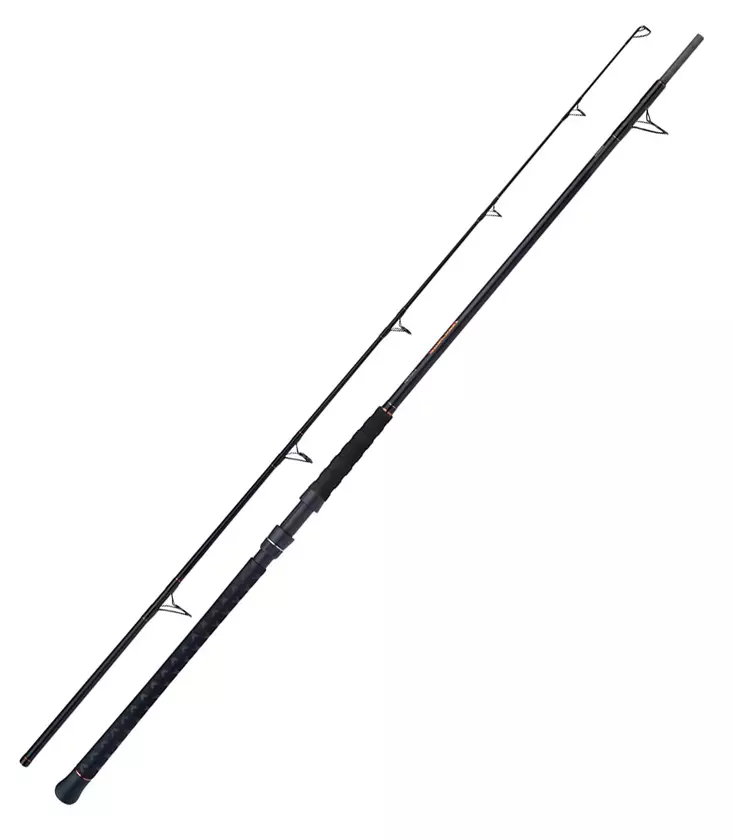 Shimano Beastmaster AX Catfish Static Spinning - Saltwater Spinning Rods - 8717009868297 - 1