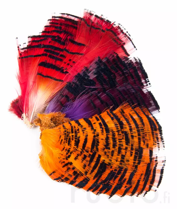 Veniard Golden Pheasant Half Collar - Classic Feathers - 40450200067 - 1